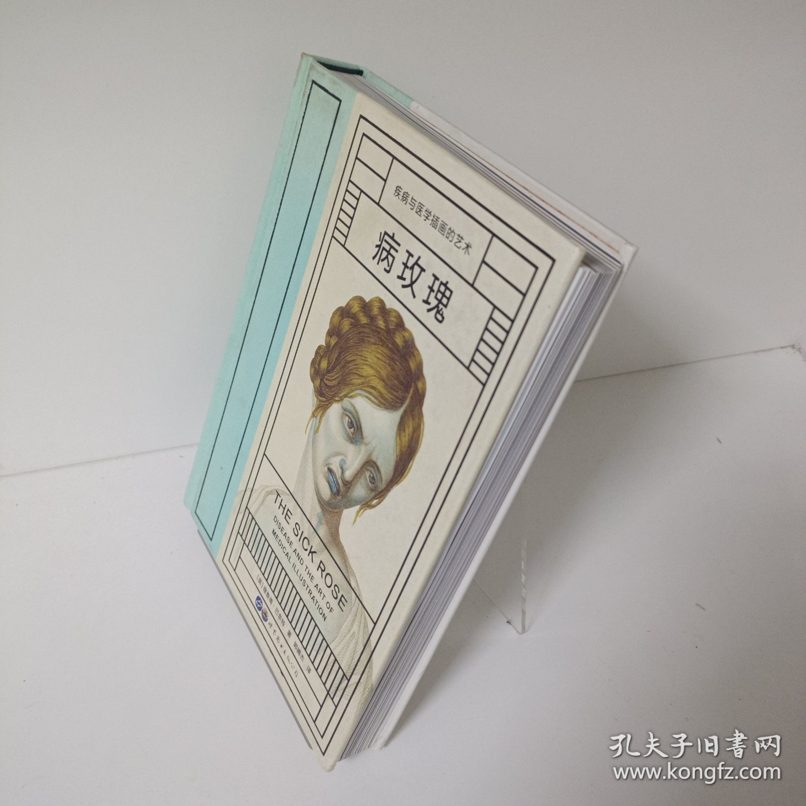 【正版，无写划，当天发货】病玫瑰：疾病与医学插画的艺术