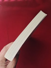 爆发：大数据时代预见未来的新思维