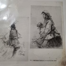 少数民族速写组画获得1956年青年美展铜牌奖，油画底片