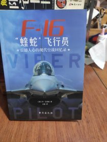 F-16“蝰蛇”飞行员 : 震撼人心的现代空战回忆录