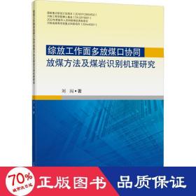 综放工作面多放煤口协同放煤方法及煤岩识别机理研究