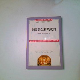 钢铁是怎样炼成的