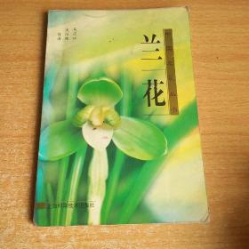 蘭花