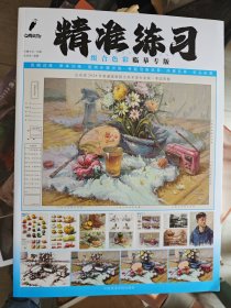 精准练习组合色彩临摹专版白鹭文化张学良