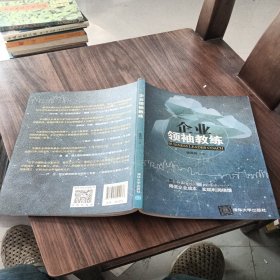 企业领袖教练 陈百加原名陈晓玲