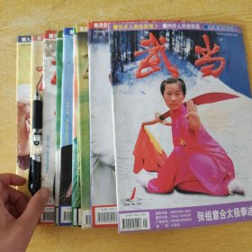 武当杂志2004年第1-12期（缺第7、10期）共10册