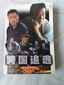 跨國(guó)追逃