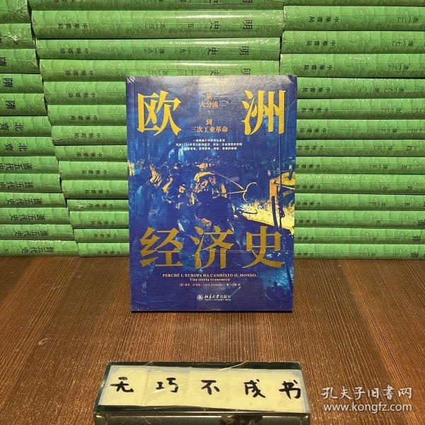 欧洲经济史：从大分流到三次工业革命 以全球视野，讲述1700年至今欧洲经济的故事