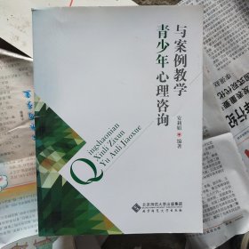 青少年心理咨询与案例教学立(正版现货 内干净无写涂划 实物拍图)