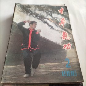 中华气功，高血压，丹田，治疗近视眼，内养功，气功界，意拳五形，太极内功养生拳，法门气功，峨眉指穴法，山海经，练功，体育竞赛，