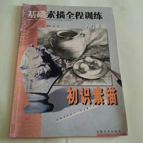 基础素描全程训练入门篇上 初识素描