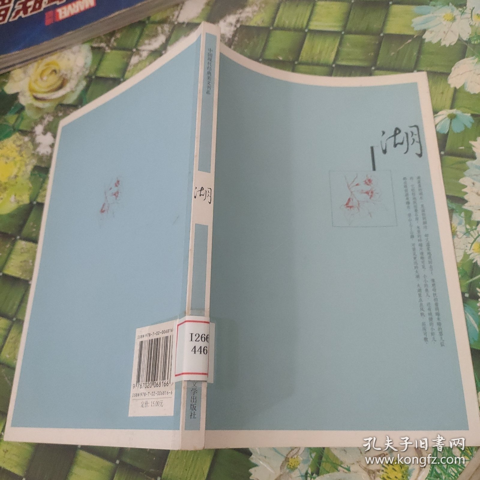 中国现代经典美文书系：湖 馆藏无笔迹