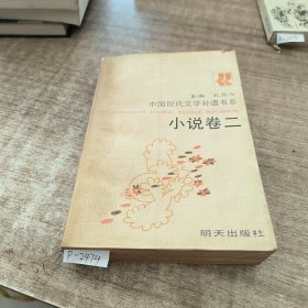 中国现代文学补遗书系小说卷二