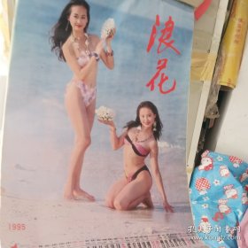 挂历 老挂历 美女挂历 泳装挂历 1995年浪花挂历（全12张）