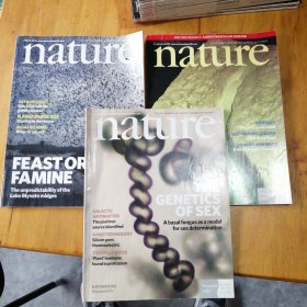 Nature 自然杂志 英文原版 2008年共3册合售