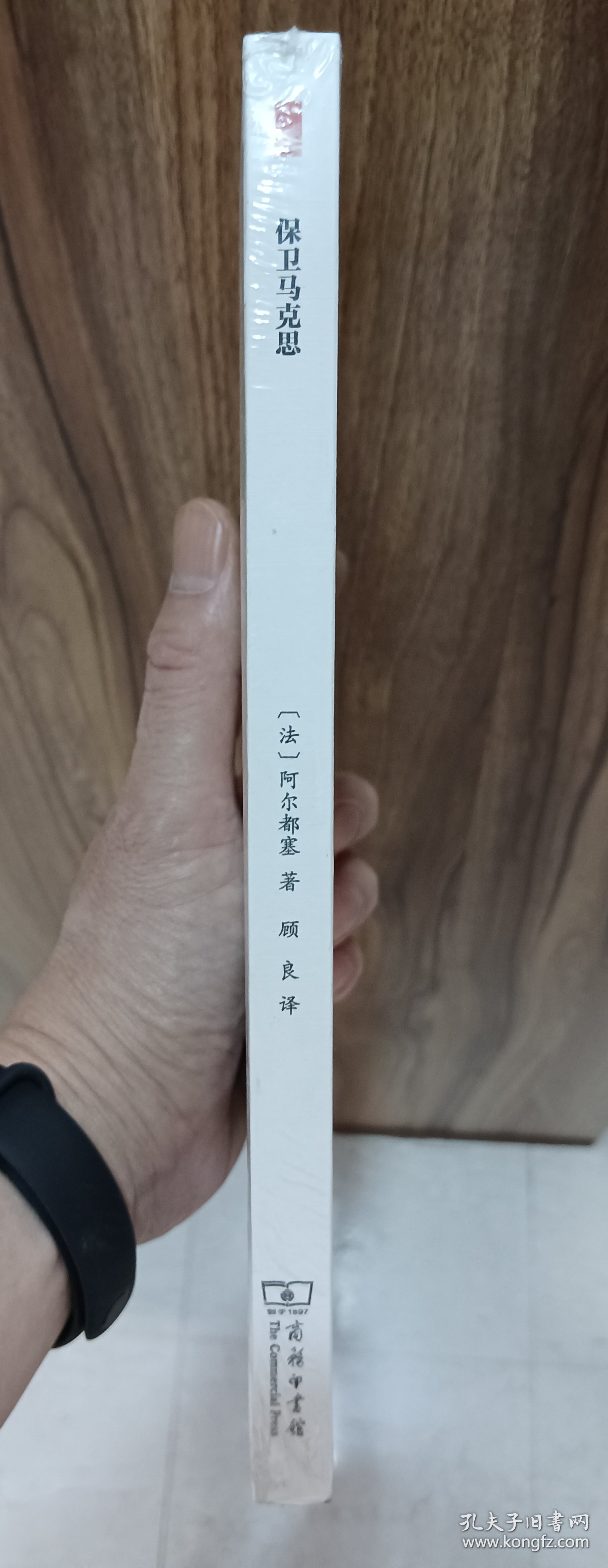 保卫马克思(国外马克思主义和社会主义研究丛书)