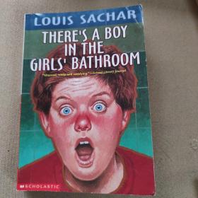 there's a boy in the girl's bathroom