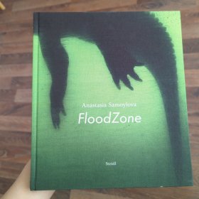 Anastasia Samoylova: FloodZone