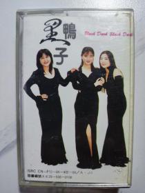 黑鸭子演唱专辑