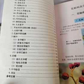花椒病虫害诊断与防治原色图谱