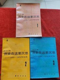 历史在这里沉思 1966～1976年记实 1一3全