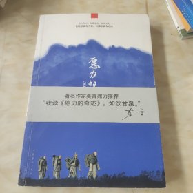 愿力的奇迹：一本安心、净心的心灵读物，一剂降心火、去浮躁的医心良药