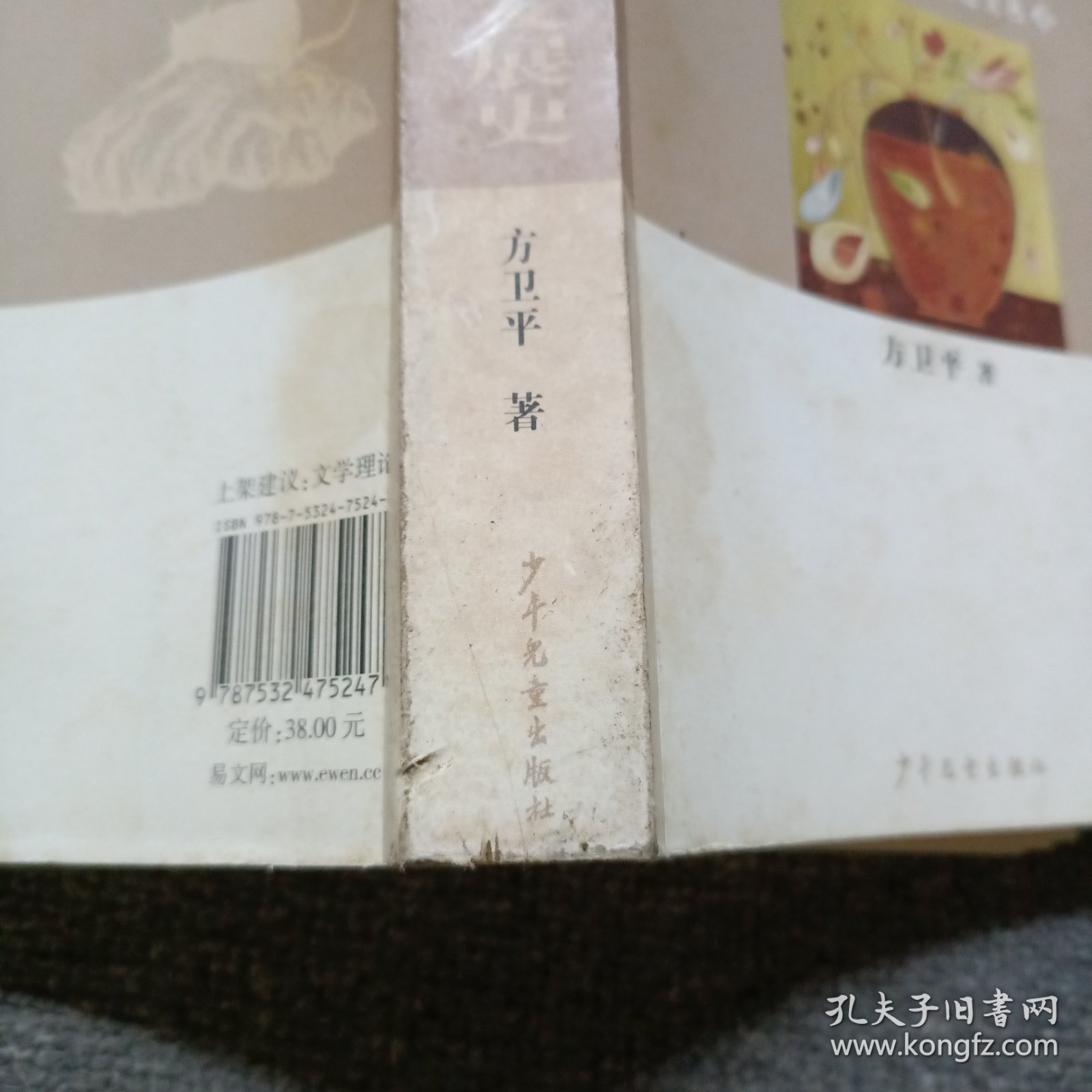 中国儿童文学理论发展史：风信子儿童文学理论文丛