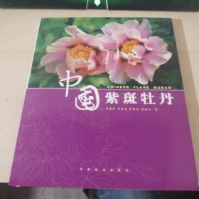 中国紫斑牡丹
