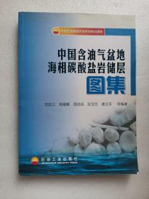 中国含油气盆地海相碳酸盐岩储层图集