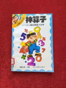 神算子:少儿趣味算题大世界