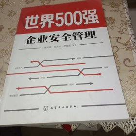 世界500强企业安全管理