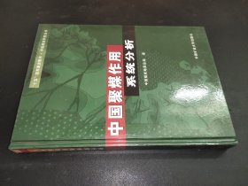 中国聚煤作用系统分析