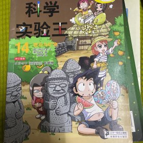 我的第一本科学漫画书·科学实验王14：岩石与矿物