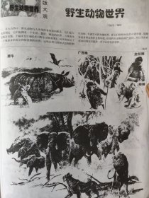 散页美术资料（印刷品）———连环画散页——野生动物世界【于福庚绘】2092