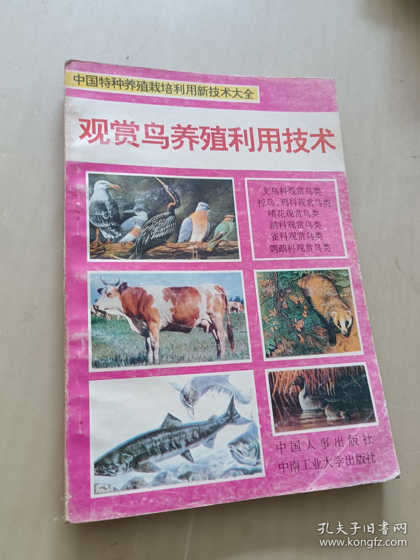 观赏鸟养殖利用技术