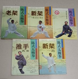 陈式太极拳 全五册 王西安
