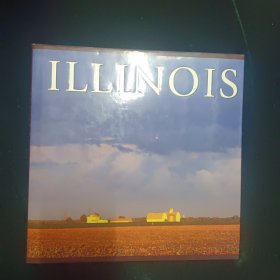 伊利诺伊州illinois