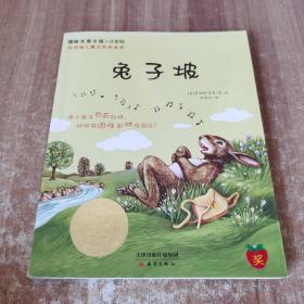国际大奖小说：兔子坡（注音版）