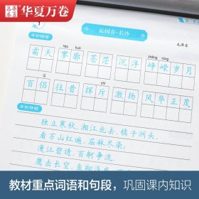 正版书籍高中语文同步字帖 必修 上册 人教版周培纳 书9787313230454新华仓库多仓直发