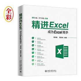 全新正版精进EXCEL:成为EXCEL高手9787301306390