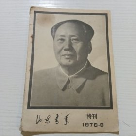 山东青年