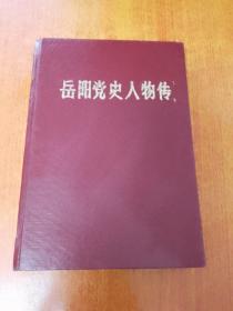 岳阳党史人物传 第一辑