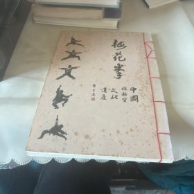 梅花拳 中国非物质文化遗产