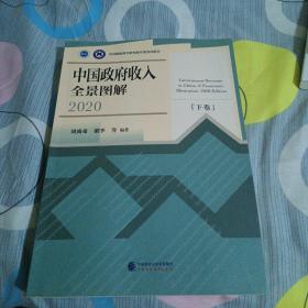 中国政府收入全景图解(2020)下卷