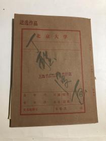 四十页漫画作品