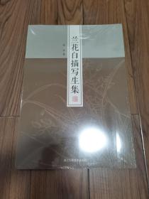 名家画谱系列：兰花白描写生集 八开平装 全新未拆封