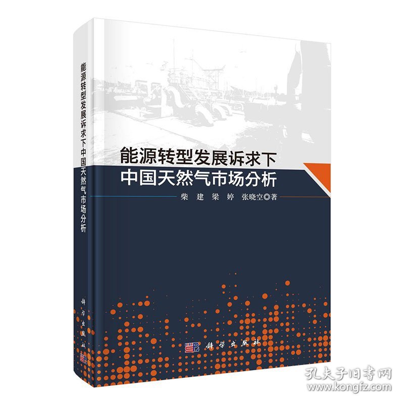 现货能源转型发展诉求下中国天然气市场分析柴建梁婷张晓空著科学出版社9787030704108