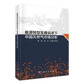 现货能源转型发展诉求下中国天然气市场分析柴建梁婷张晓空著科学出版社9787030704108