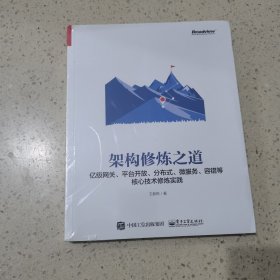 架构修炼之道——亿级网关、平台开放、分布式、微服务、容错等核心技术修炼实践（未开封）