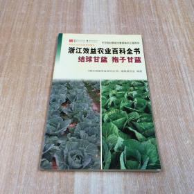 浙江效益农业百科全书 结球甘蓝 抱子甘蓝